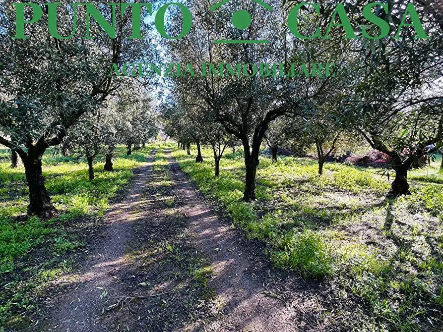 Immagine 7 di Terreno edificabile in vendita  in Via Guido Dorso a Lamezia Terme