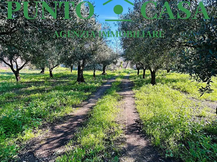 Immagine 10 di Terreno edificabile in vendita  in Via Guido Dorso a Lamezia Terme