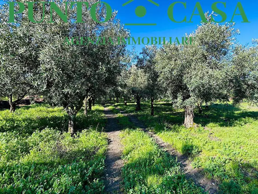 Immagine 11 di Terreno edificabile in vendita  in Via Guido Dorso a Lamezia Terme