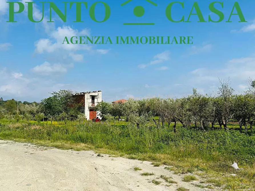 Immagine 2 di Rustico / casale in vendita  in Via Delle Palme a Gizzeria