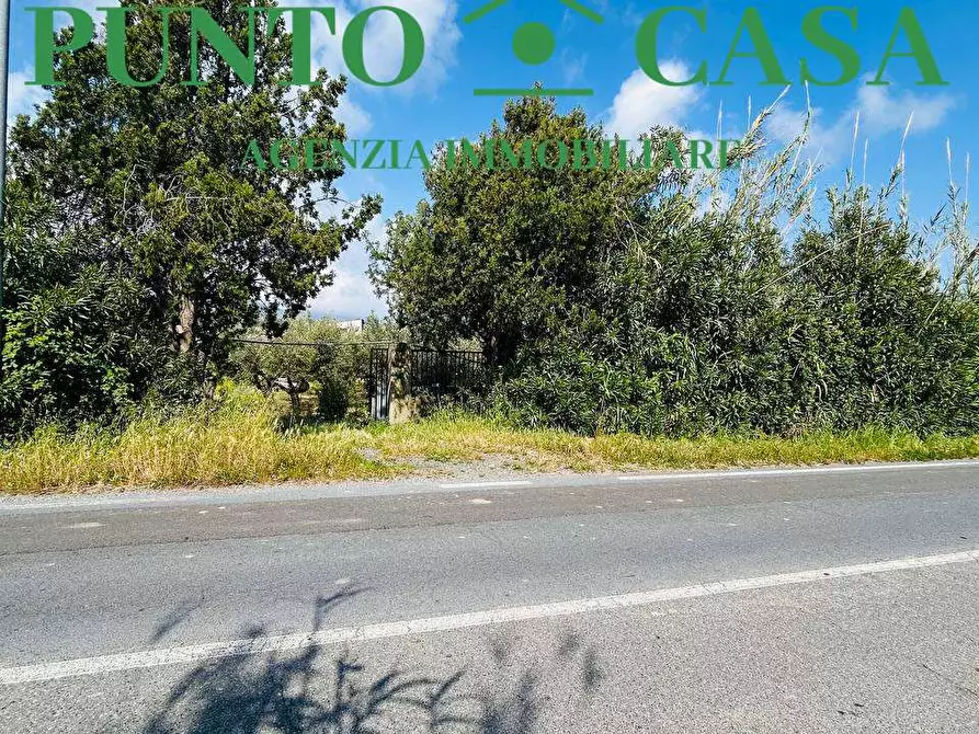 Immagine 3 di Rustico / casale in vendita  in Via Delle Palme a Gizzeria