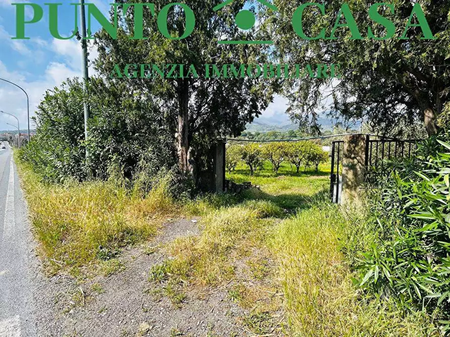 Immagine 4 di Rustico / casale in vendita  in Via Delle Palme a Gizzeria