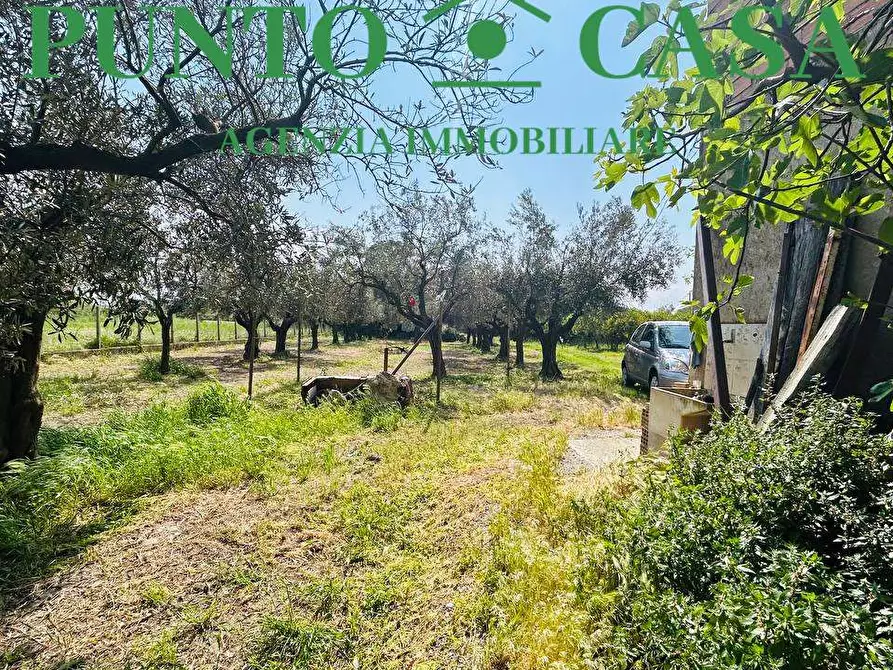 Immagine 9 di Rustico / casale in vendita  in Via Delle Palme a Gizzeria