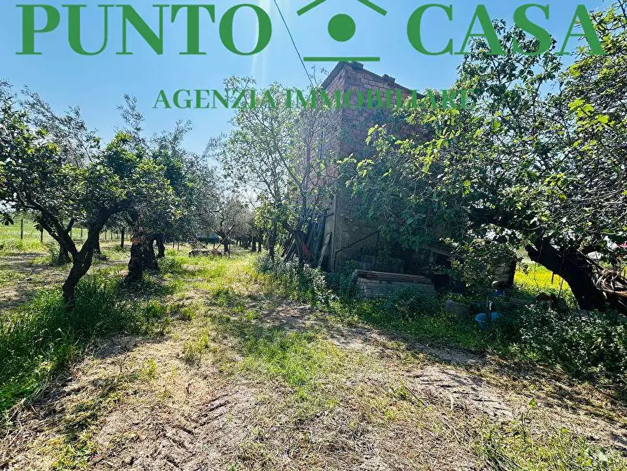 Immagine 10 di Rustico / casale in vendita  in Via Delle Palme a Gizzeria