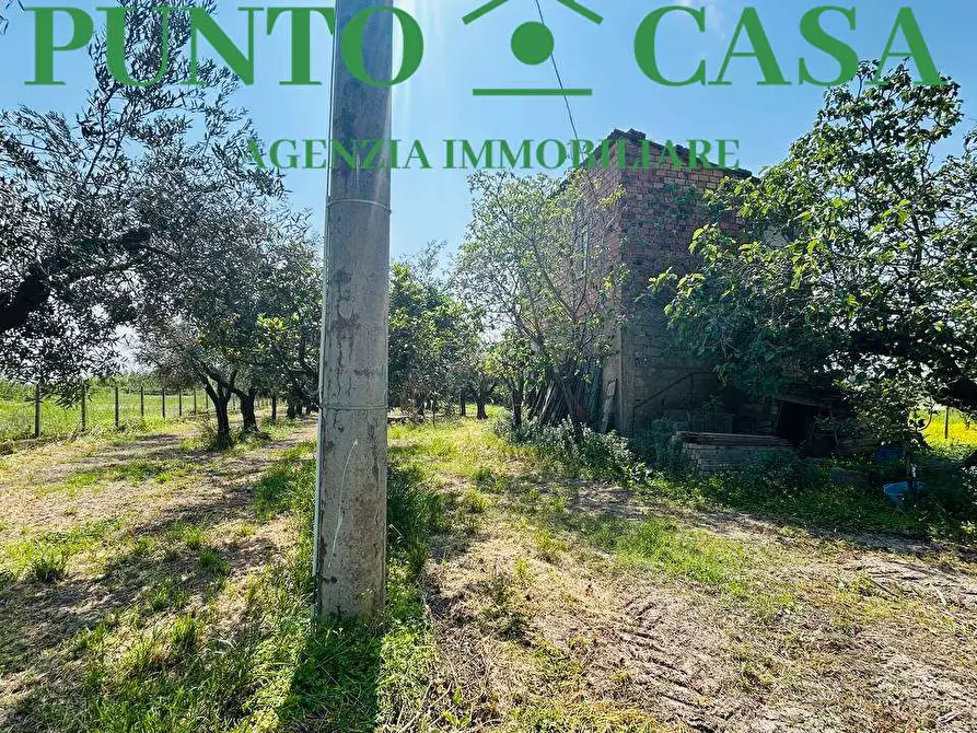 Immagine 11 di Rustico / casale in vendita  in Via Delle Palme a Gizzeria