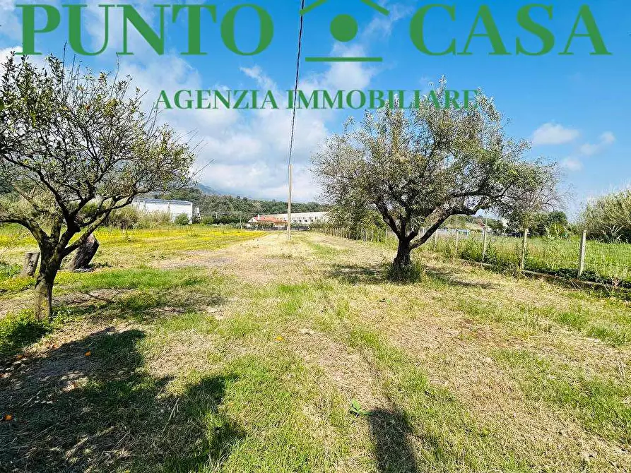 Immagine 12 di Rustico / casale in vendita  in Via Delle Palme a Gizzeria