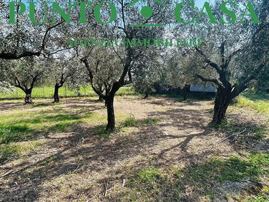 Immagine 14 di Rustico / casale in vendita  in Via Delle Palme a Gizzeria