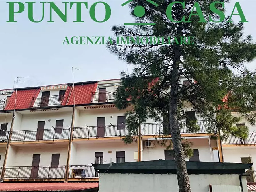 Immagine 17 di Appartamento in vendita  in Via Aldo Moro 16 a Nocera Terinese