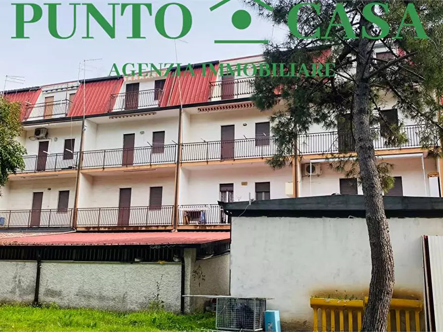 Immagine 19 di Appartamento in vendita  in Via Aldo Moro 16 a Nocera Terinese