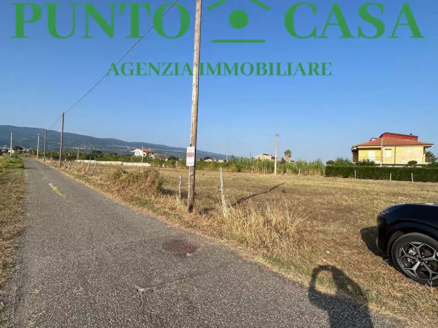 Immagine 5 di Terreno agricolo in vendita  in Via degli Ausoni a Lamezia Terme