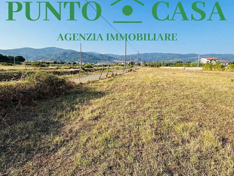 Immagine 6 di Terreno agricolo in vendita  in Via degli Ausoni a Lamezia Terme
