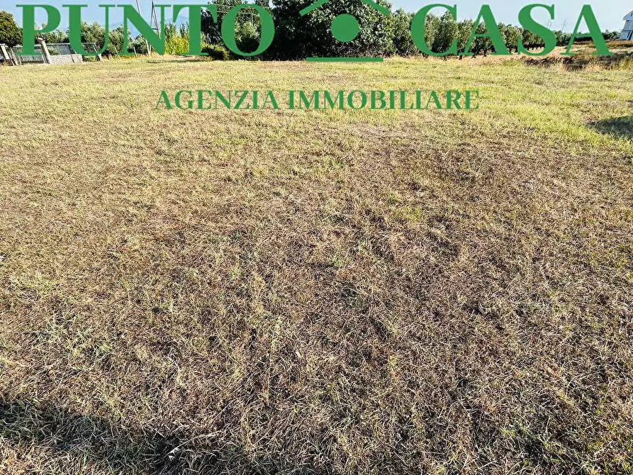Immagine 7 di Terreno agricolo in vendita  in Via degli Ausoni a Lamezia Terme