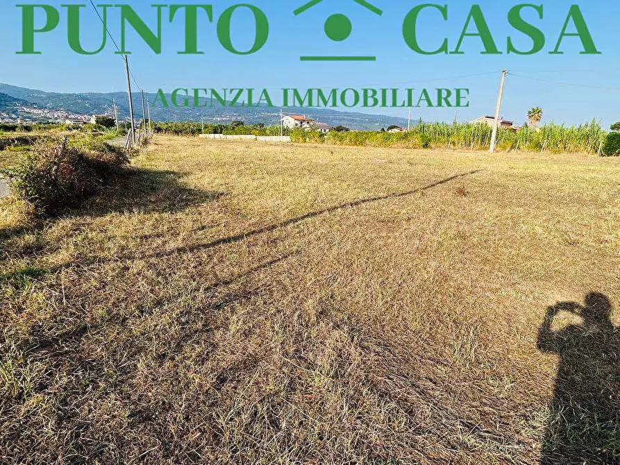 Immagine 9 di Terreno agricolo in vendita  in Via degli Ausoni a Lamezia Terme