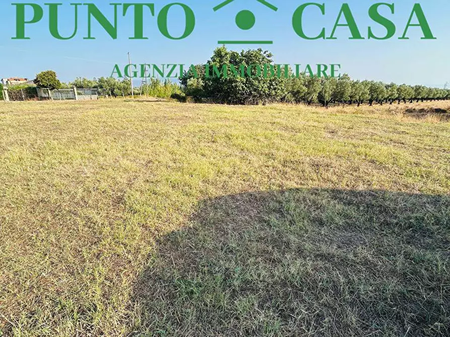 Immagine 10 di Terreno agricolo in vendita  in Via degli Ausoni a Lamezia Terme