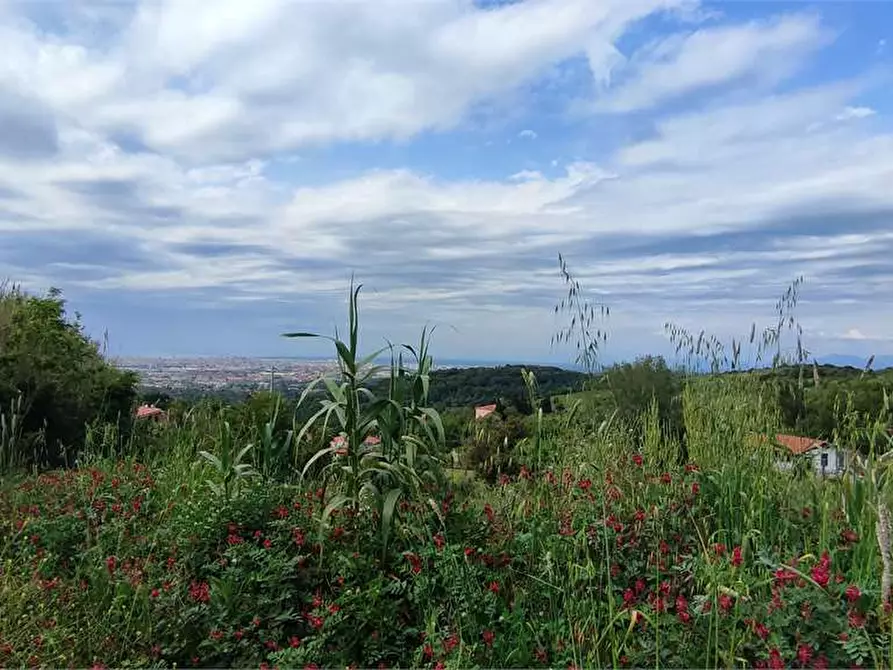 Immagine 1 di Terreno agricolo in vendita  in Via della Porcigliana  57 a Livorno