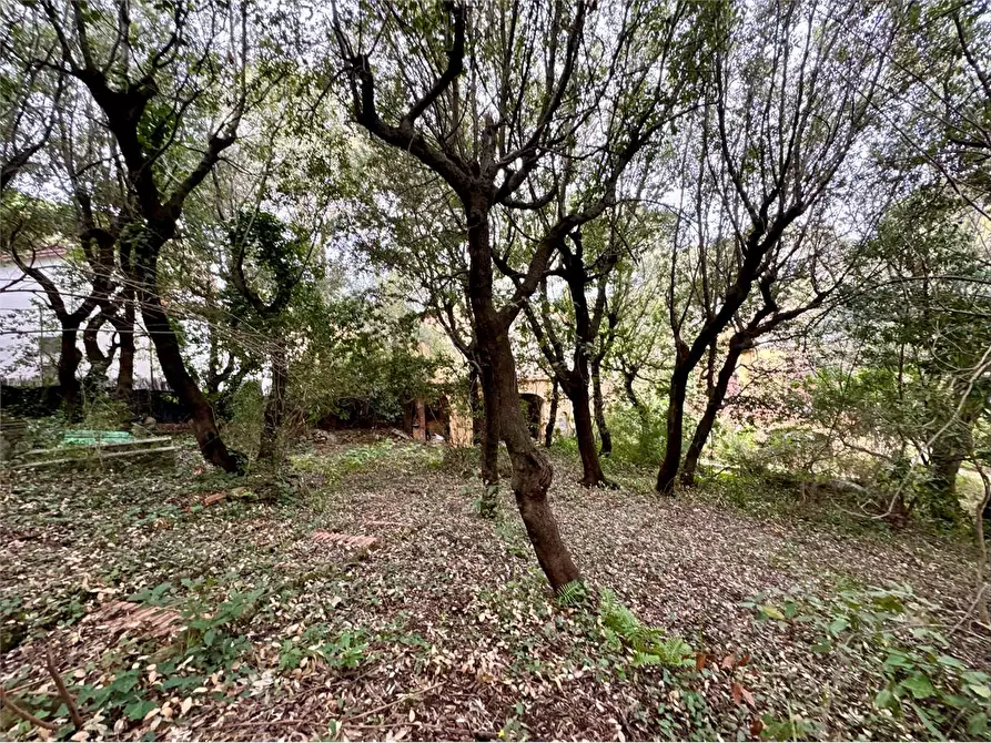 Immagine 31 di Villa in vendita  in Via Livorno  a Rosignano Marittimo