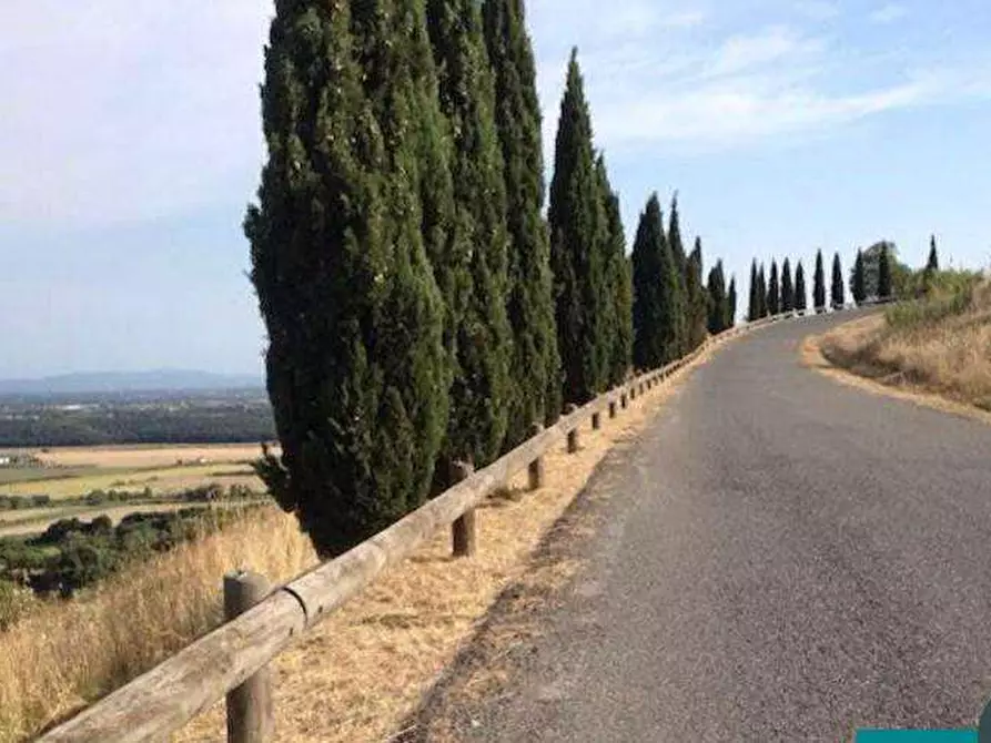 Immagine 31 di Appartamento in vendita  in Sdrucciolo del poggio  a Rosignano Marittimo
