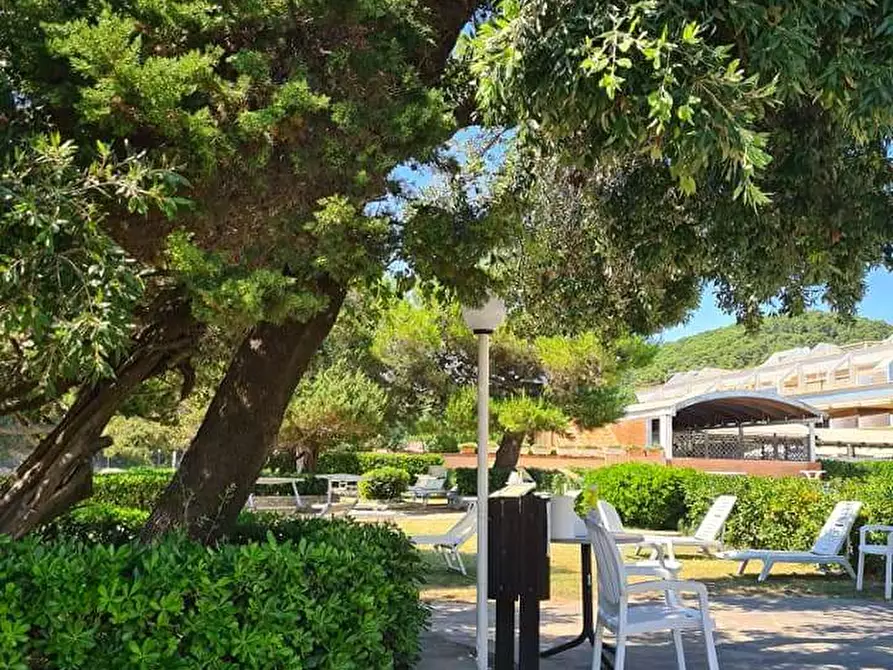 Immagine 3 di Appartamento in vendita  in Chioma 2 a Rosignano Marittimo