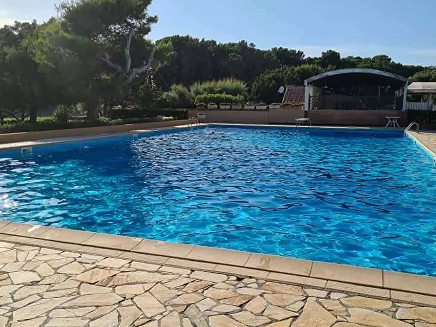 Immagine 5 di Appartamento in vendita  in Chioma 2 a Rosignano Marittimo