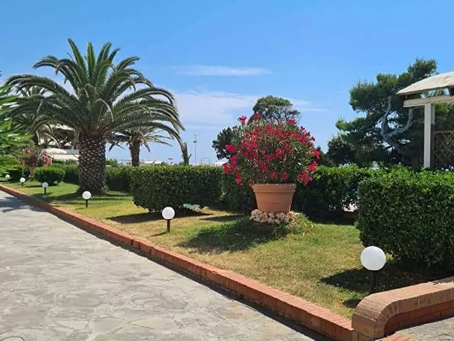 Immagine 6 di Appartamento in vendita  in Chioma 2 a Rosignano Marittimo