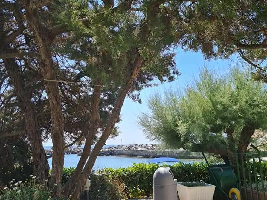 Immagine 8 di Appartamento in vendita  in Chioma 2 a Rosignano Marittimo