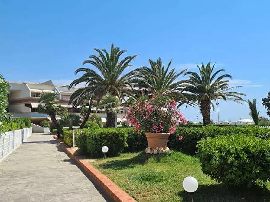 Immagine 10 di Appartamento in vendita  in Chioma 2 a Rosignano Marittimo