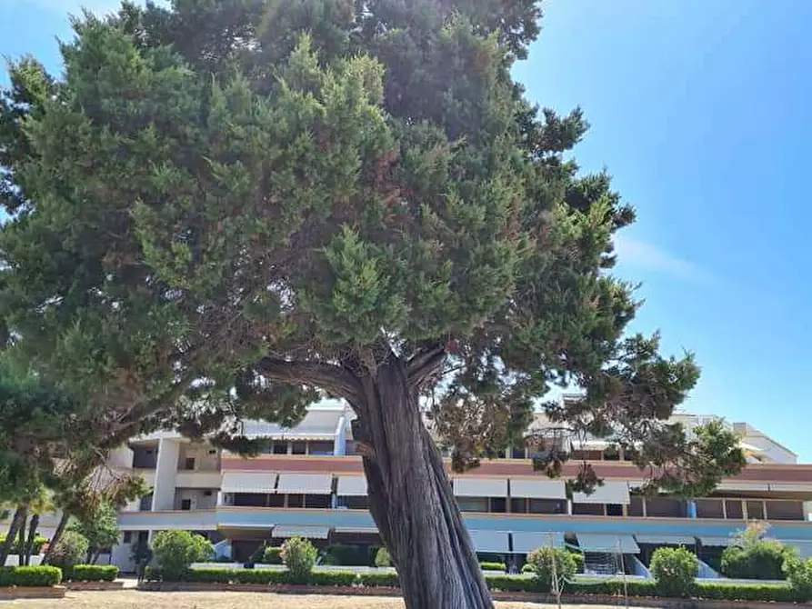 Immagine 13 di Appartamento in vendita  in Chioma 2 a Rosignano Marittimo