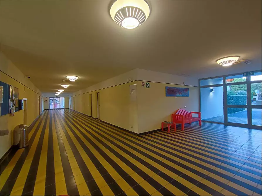 Immagine 4 di Appartamento in vendita  in Viale del Tirreno  86 D a Pisa