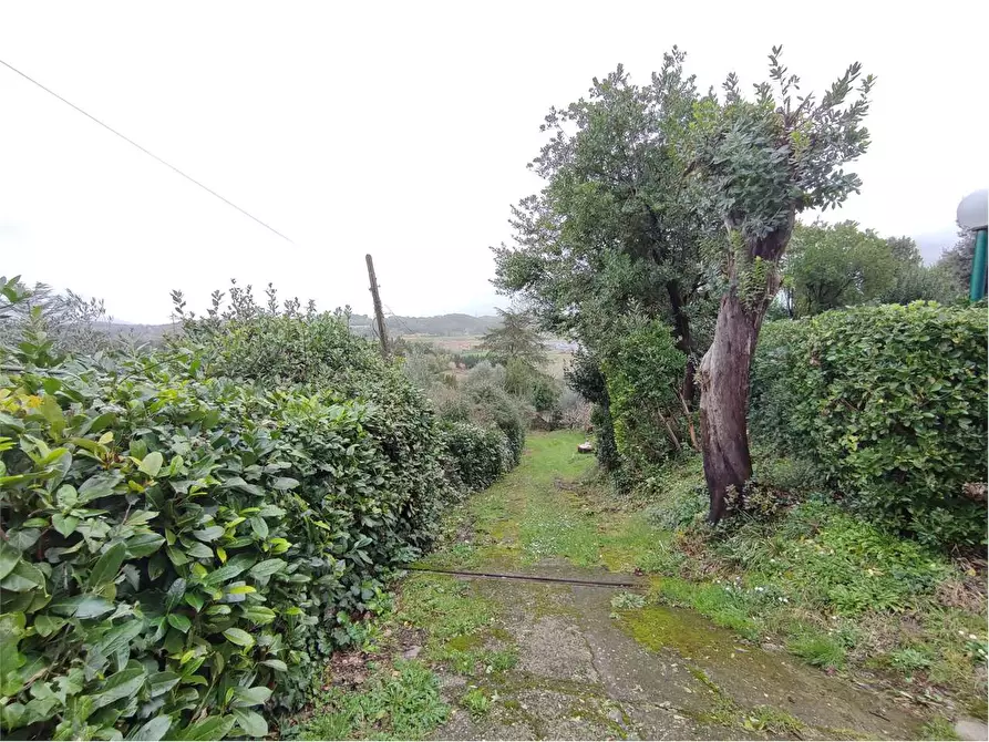 Immagine 55 di Casa bifamiliare in vendita  in CASTEL ANSELMO a Collesalvetti