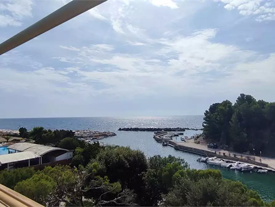 Immagine 1 di Appartamento in vendita  in Via Mario Puccini Chioma a Livorno