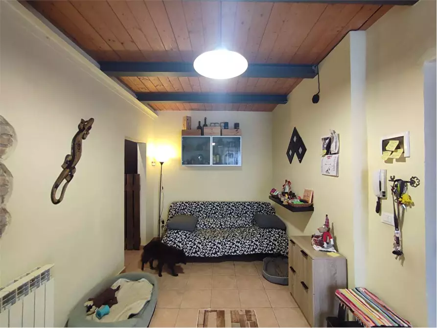 Immagine 3 di Appartamento in vendita  in via Fagiuoli  a Livorno