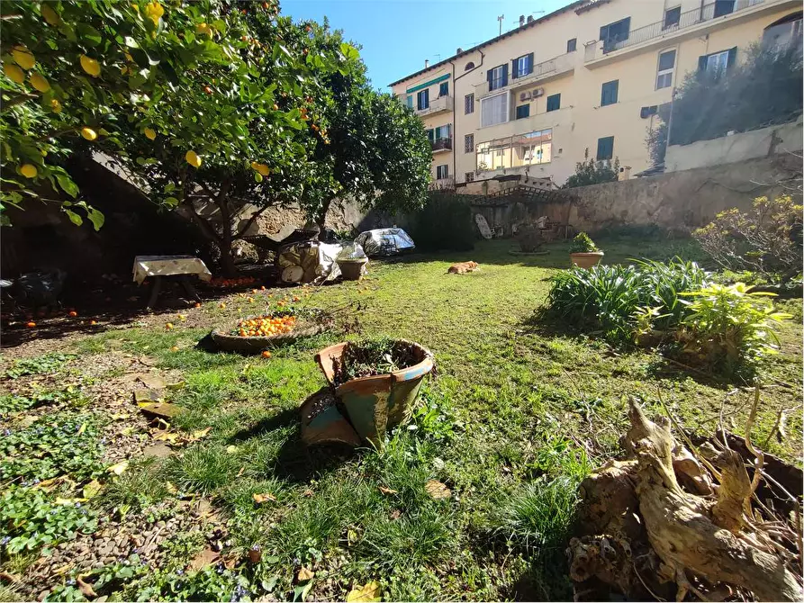 Immagine 44 di Appartamento in vendita  in Via Maggi a Livorno