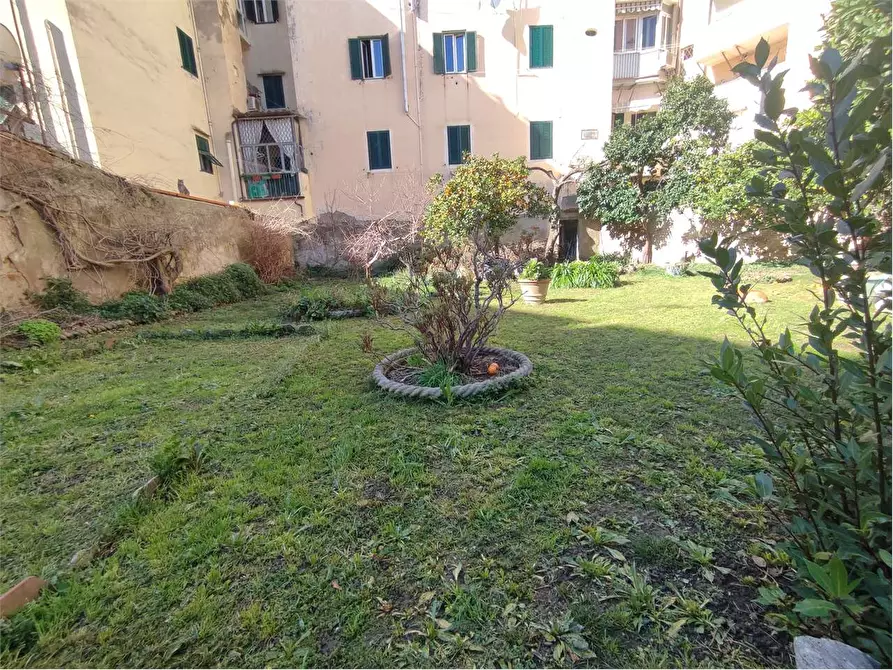 Immagine 14 di Appartamento in vendita  in Via Maggi a Livorno