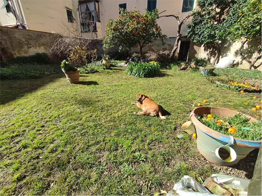 Immagine 47 di Appartamento in vendita  in Via Maggi a Livorno