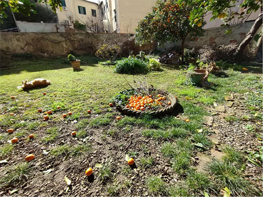 Immagine 48 di Appartamento in vendita  in Via Maggi a Livorno