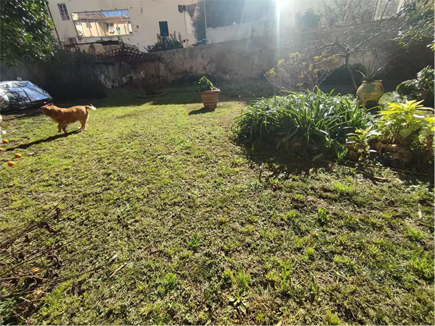 Immagine 16 di Appartamento in vendita  in Via Maggi a Livorno