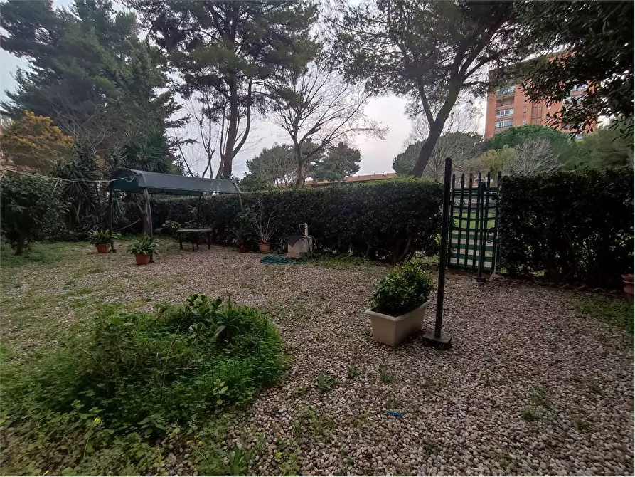 Immagine 26 di Appartamento in vendita  in VIA ROMAGNOSI a Livorno