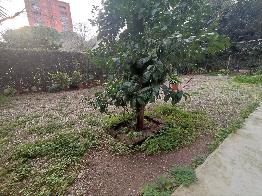 Immagine 27 di Appartamento in vendita  in VIA ROMAGNOSI a Livorno