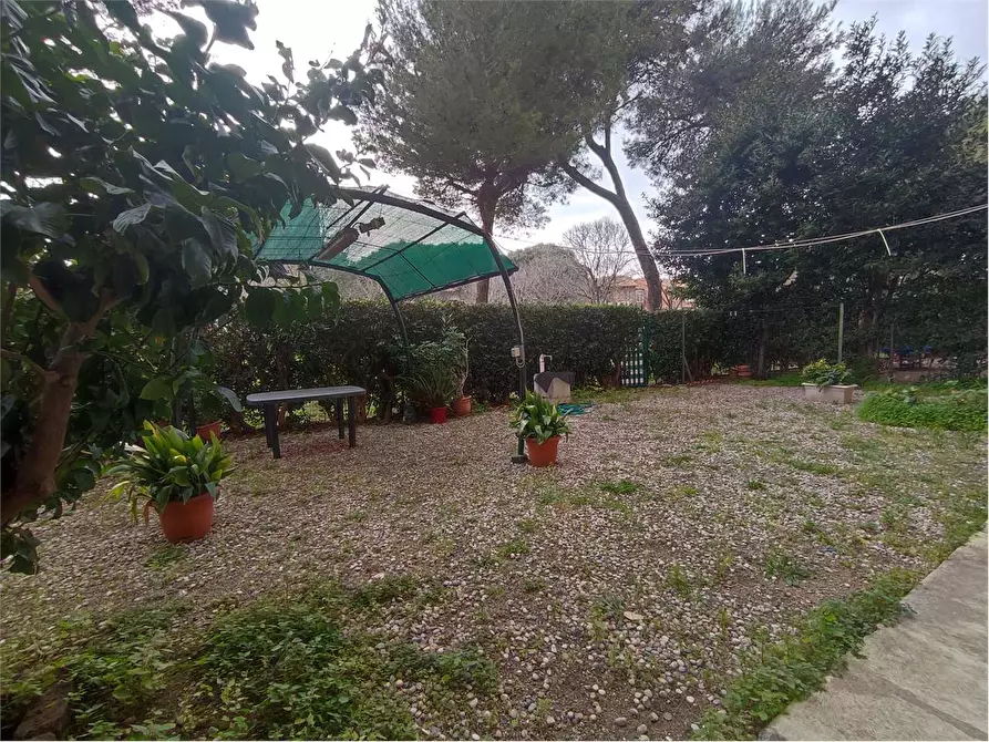 Immagine 28 di Appartamento in vendita  in VIA ROMAGNOSI a Livorno