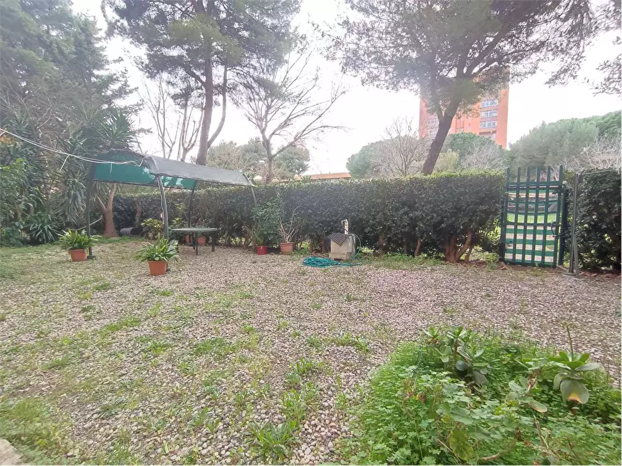 Immagine 29 di Appartamento in vendita  in VIA ROMAGNOSI a Livorno