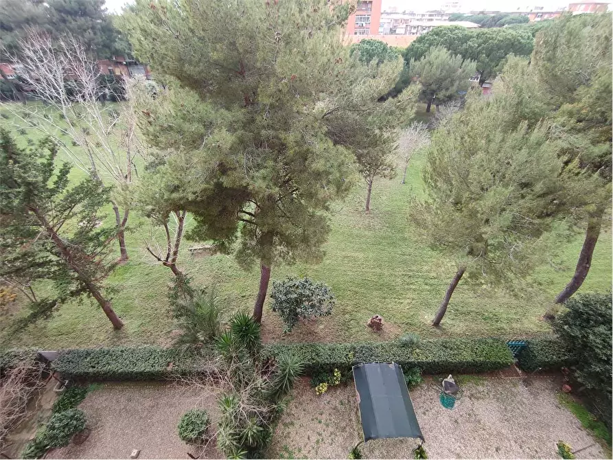 Immagine 30 di Appartamento in vendita  in VIA ROMAGNOSI a Livorno