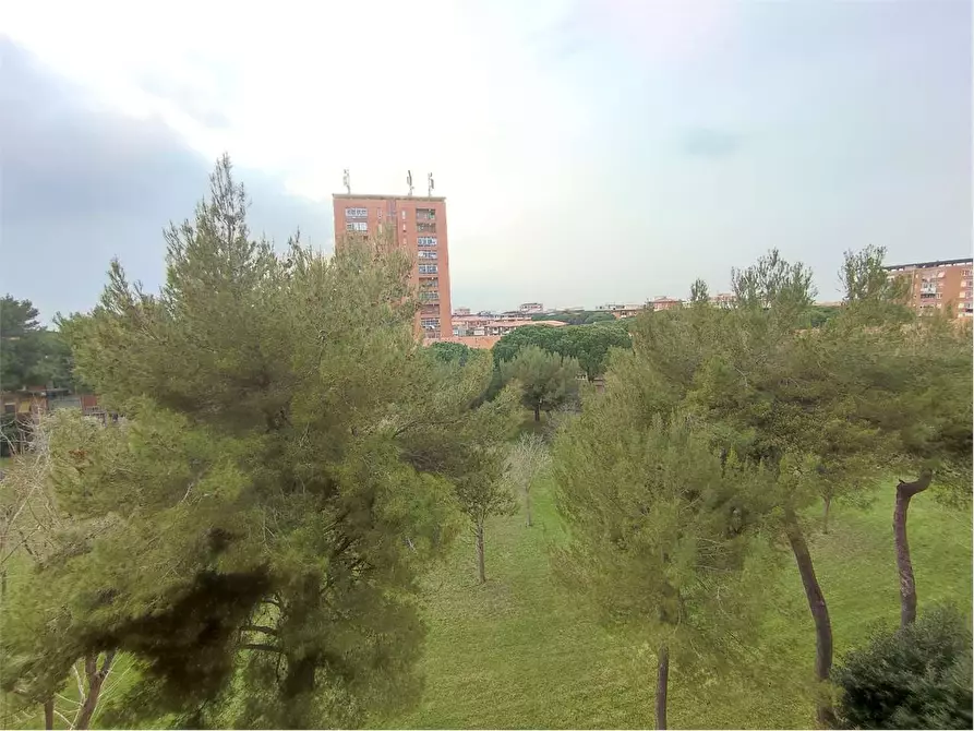 Immagine 31 di Appartamento in vendita  in VIA ROMAGNOSI a Livorno