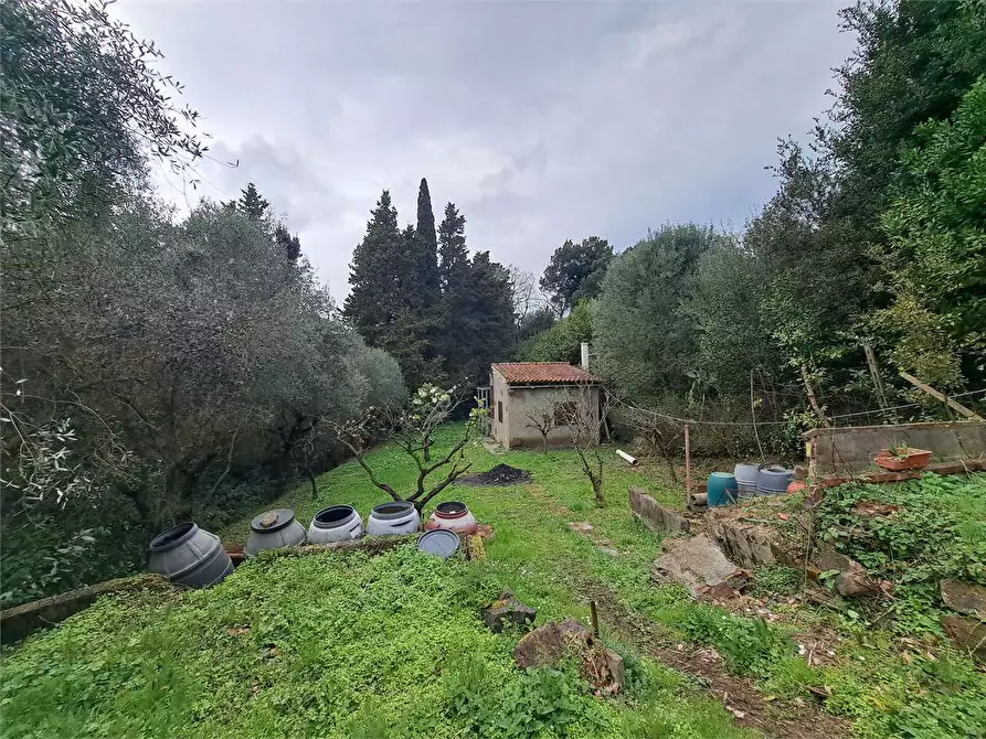 Immagine 1 di Terreno agricolo in vendita  in via Fonte della Puzzolente a Livorno