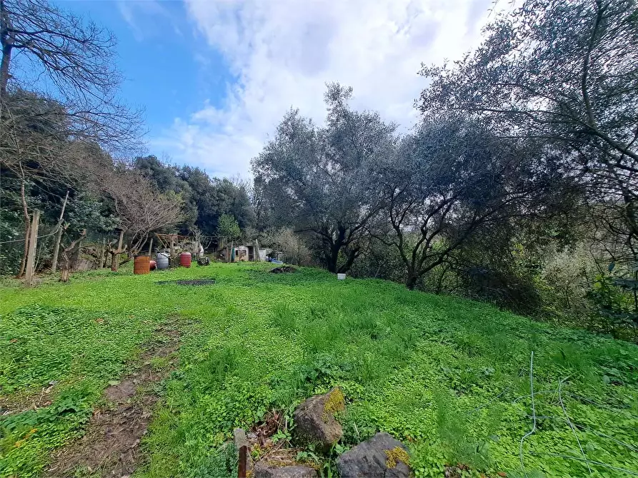 Immagine 2 di Terreno agricolo in vendita  in via Fonte della Puzzolente a Livorno