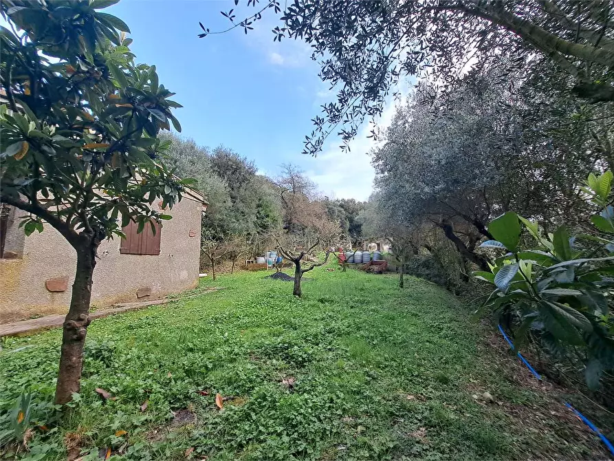 Immagine 3 di Terreno agricolo in vendita  in via Fonte della Puzzolente a Livorno