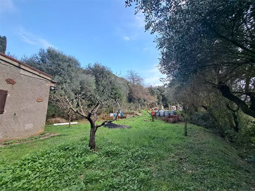 Immagine 4 di Terreno agricolo in vendita  in via Fonte della Puzzolente a Livorno