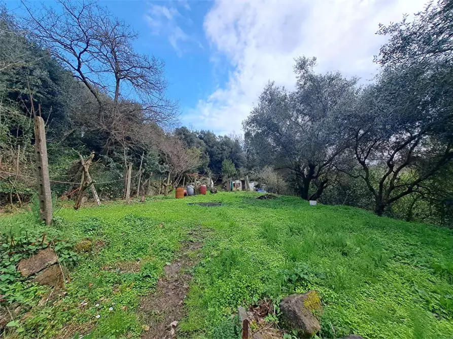 Immagine 5 di Terreno agricolo in vendita  in via Fonte della Puzzolente a Livorno