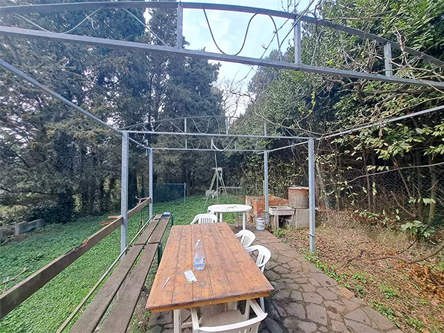 Immagine 7 di Terreno agricolo in vendita  in via Fonte della Puzzolente a Livorno