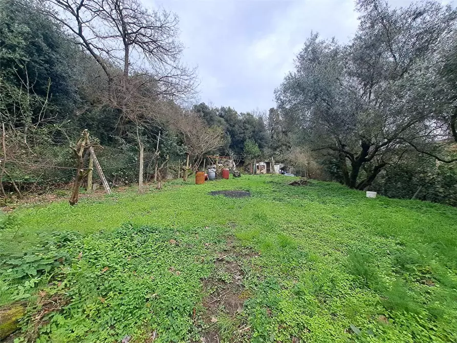 Immagine 8 di Terreno agricolo in vendita  in via Fonte della Puzzolente a Livorno
