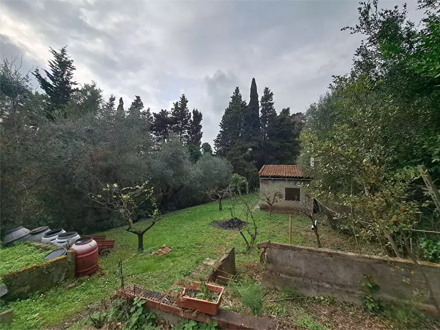 Immagine 9 di Terreno agricolo in vendita  in via Fonte della Puzzolente a Livorno